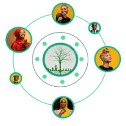 Global Roots community orbit